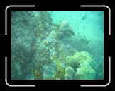 Tortola 182 * 2048 x 1536 * (1.68MB)